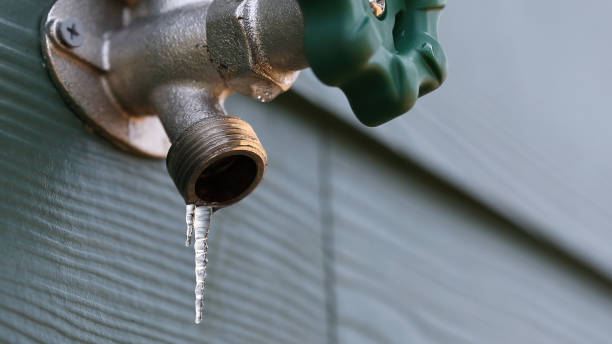 Best Clogged Drain Plumber  in Oakland, IA